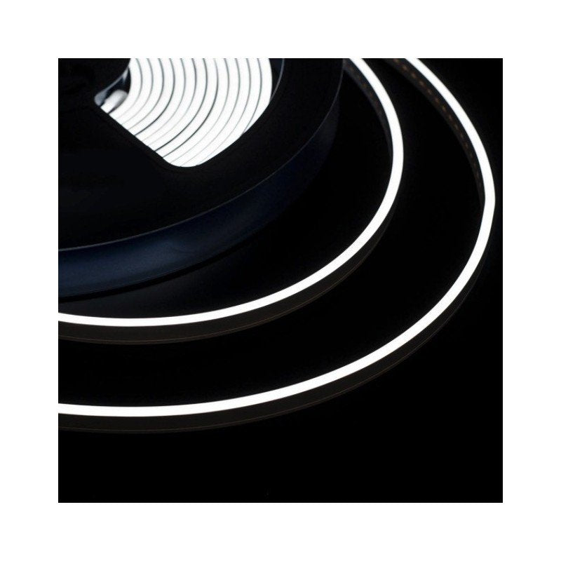 24V Bobina LED Neon Flex Bianco Freddo 6500K 10 Metri IP65 10W/M Tagliabile