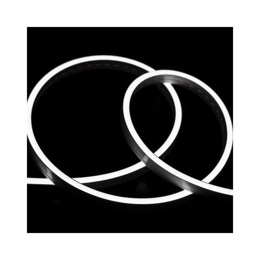 24V Bobina LED Neon Flex Bianco Freddo 6500K 10 Metri IP65 10W/M Tagliabile