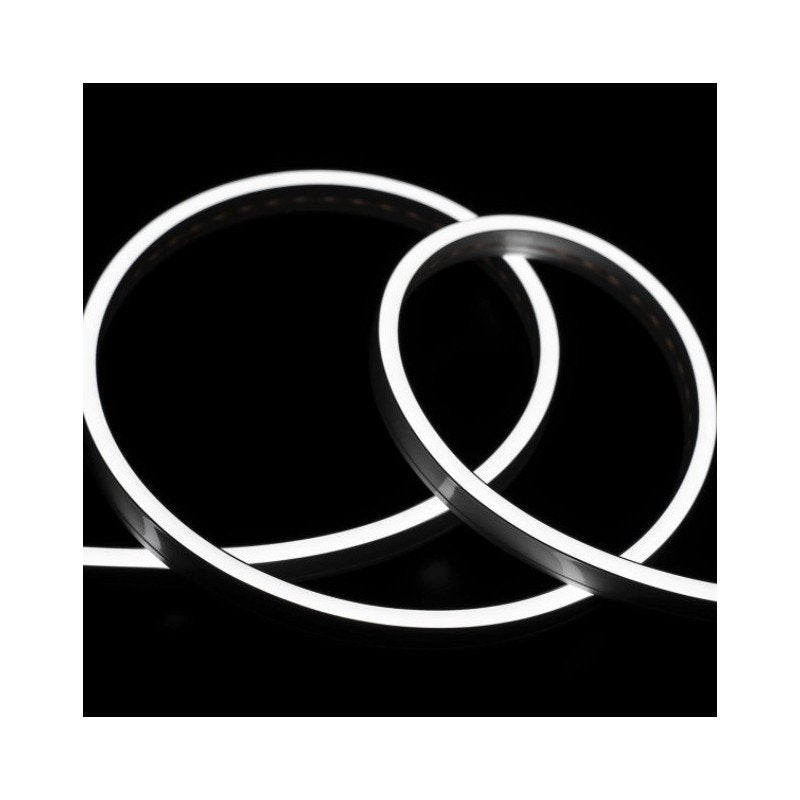 24V Bobina LED Neon Flex Bianco Freddo 6500K 10 Metri IP65 10W/M Tagliabile