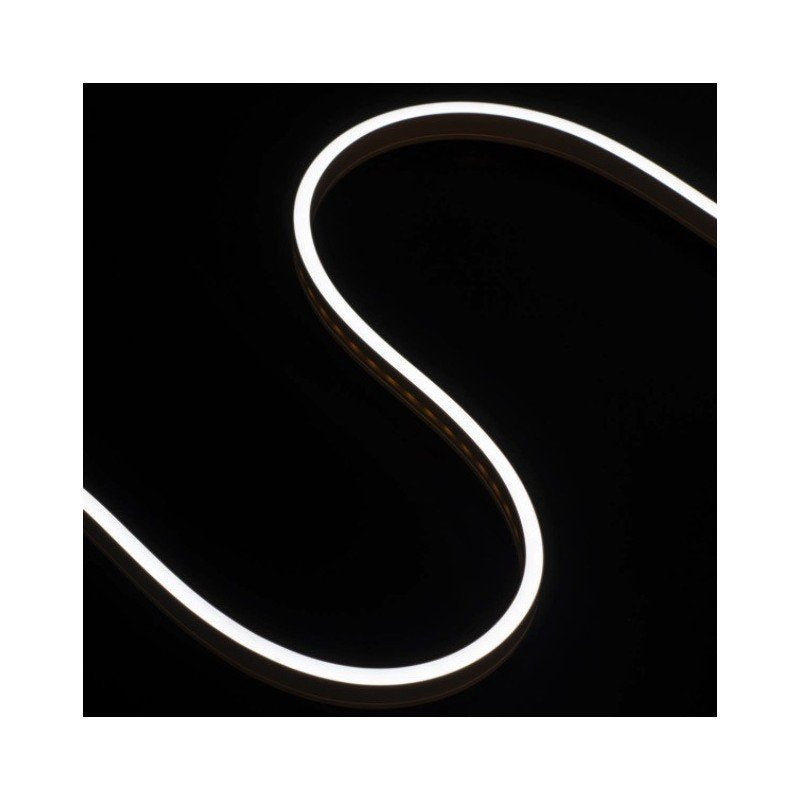 24V Bobina LED Neon Flex Bianco Freddo 6500K 10 Metri IP65 10W/M Tagliabile