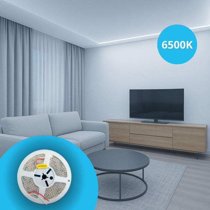 24V Striscia Led SMD Da 10 Metri, 16W/M 135lm/W 182SMD/M, Bianco Freddo 6500K, Larga 8mm, Dimmerabile PWM, Tagliabile ogni 7smd Da 38mm, IP20, CRI>80