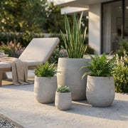SET VASI PEONIA
