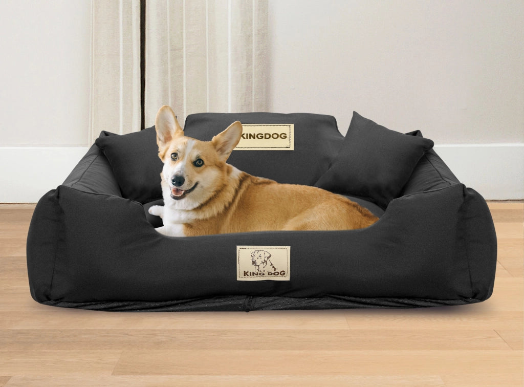 AIO FACTORY 100x75 cm KINGDOG MM43 Letto per cani personalizzabile, Nero