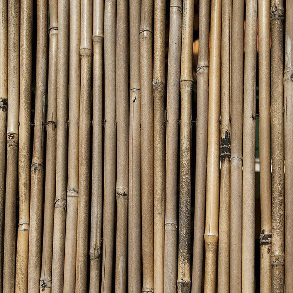 ARELLA CANNICCIO BAMBOO STUOIA CANNETTE RILEGATE Ø8-10mm CANNA PULITA 3x2m STARS