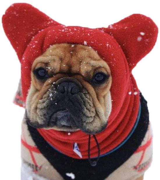 Casquette calda rossa per cani, copricapo per animali domestici, accessori per animali