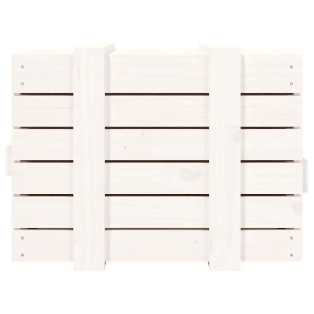 Contenitore Portaoggetti Bianco 58x40,5x42 cm Massello di Pino 824994