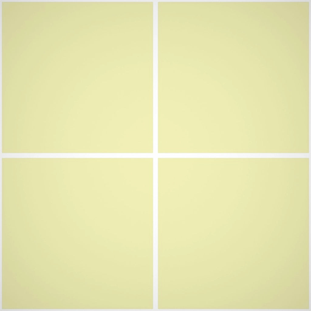 Idroblindex Smalto Murale Opaco Interno - Rivestimenti Interni 586 - Litri 14