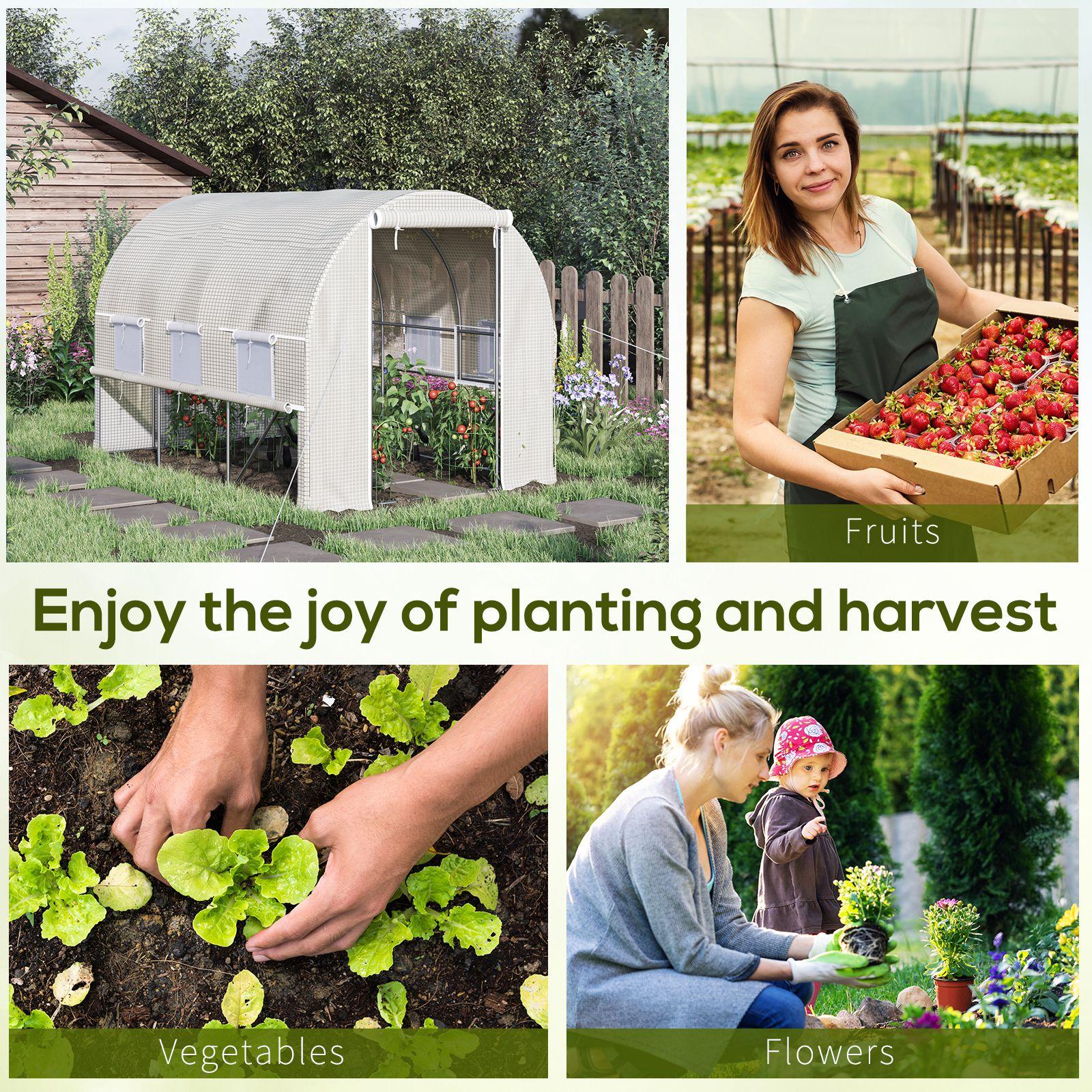 Serra per Orto da Giardino 2,95x2x2m in Acciaio e Polietilene Bianca