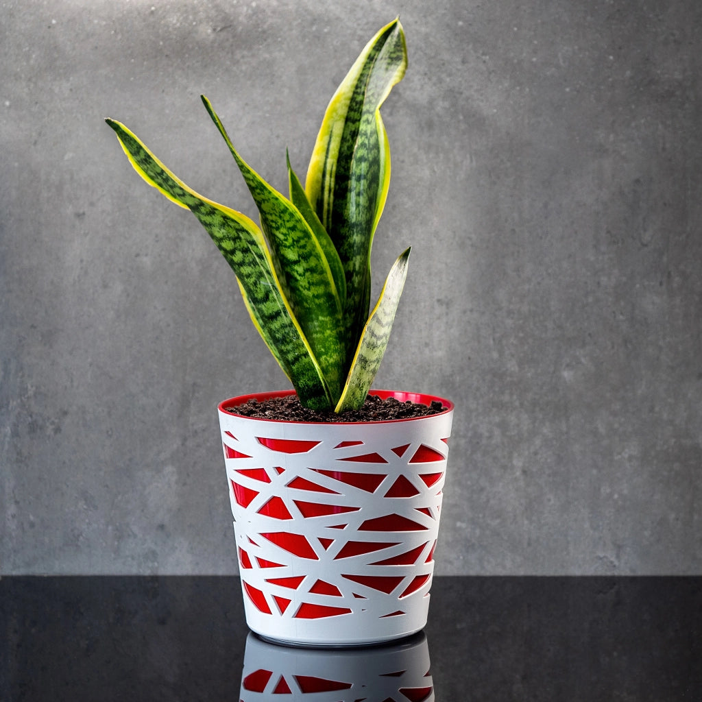 KADAX - Inserto in plastica per vaso di fiori e piante, 13 cm, rosso