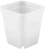 Piantine in Miniatura - 20 Contenitori - Pianelle in Plastica - Disegno Geometrico - Per Interno/Esterno - Decorazione Stilistica - Vasi per Piante