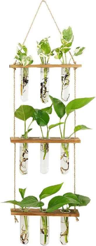 Bacino per piante - Bacino per piante ad attacco alla parete con standard in legno - 3 stazioni di moltiplicazione per piante a strati - Boccia di vetro per vaschetta di reazione per la coltivazione idroponica decorazione per la casa di piante
