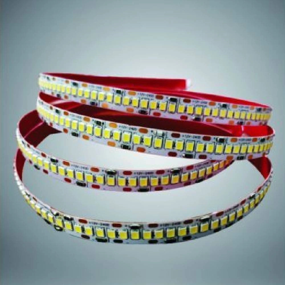 Trade Shop - Striscia Led Smd 2835 Alta Luminosità 5mt Luce 6500k 3000k 4000k 2835-24v-240 -