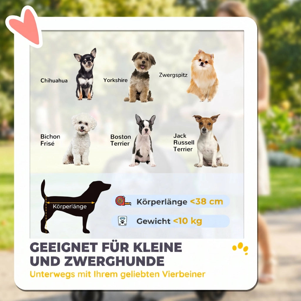 Passeggino per Cani Pieghevole ¨C Xylo ¨C con Cuscino Finestre a Rete Portabicchieri Ruote 360¡ã Grigio fino a 10kg