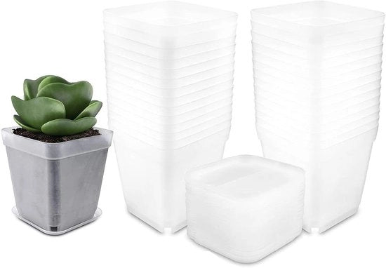 Pannelli di Cultivo trasparenti con sottopiano - 30 pezzi - Mini vasi spessi per piante grasso e semenzali con fori di drenaggio