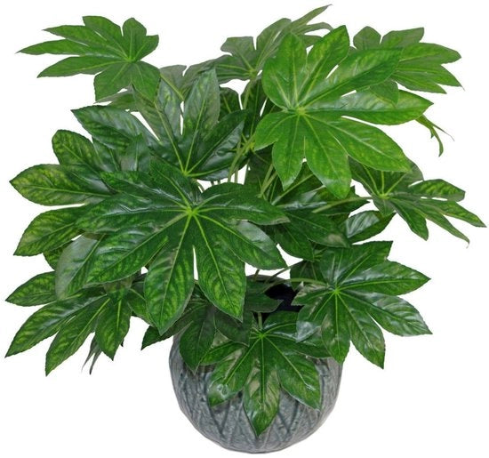 Pianta Artificiale con Foglie Realistiche Grande, Aralia, 60 cm, Foglia AZ