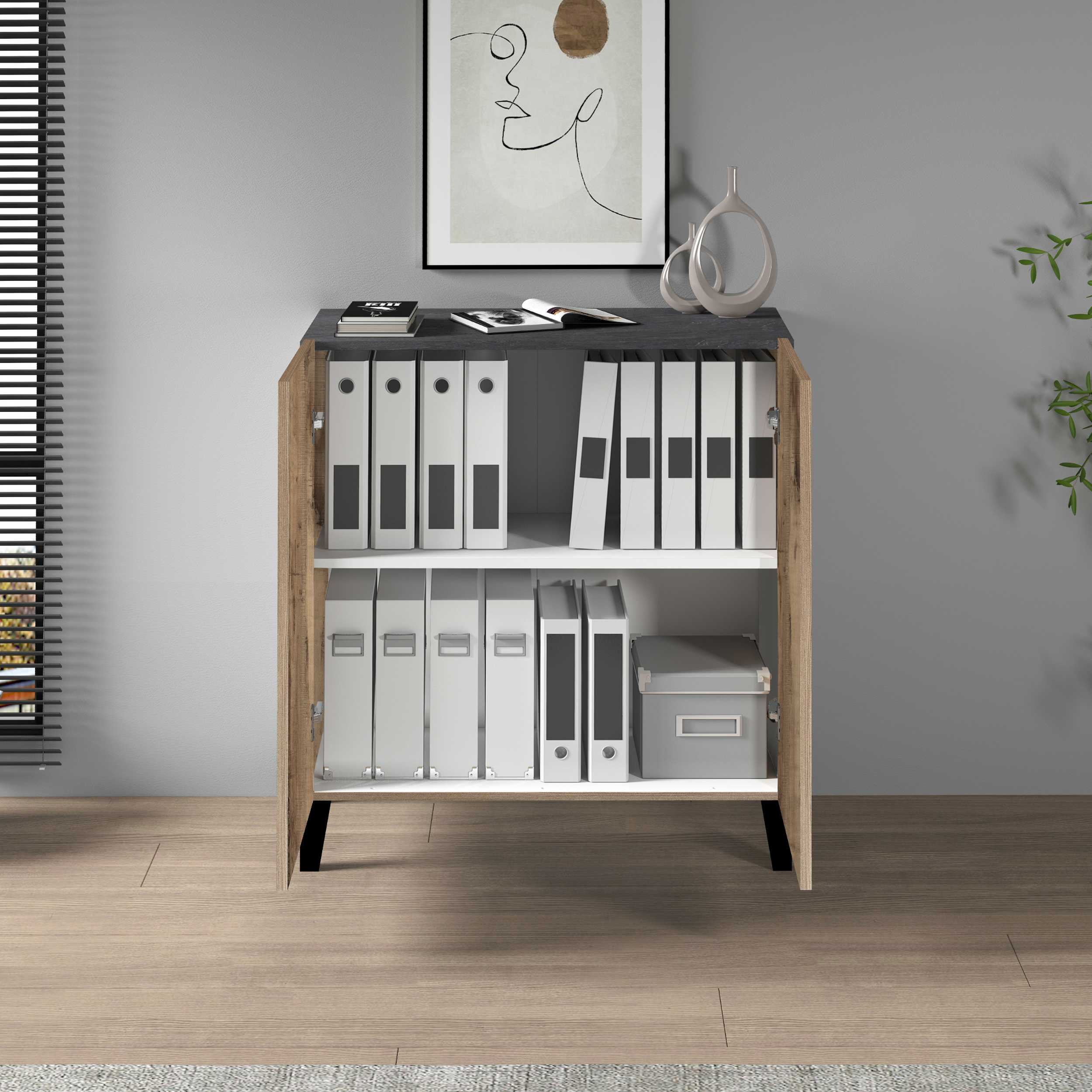 WHOUS Armadio Multiuso con 2 Ante, Made in Italy COLORE: Acero/report, DIMENSIONI: 79,20x38x92,5