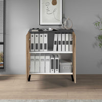 WHOUS Armadio Multiuso con 2 Ante, Made in Italy COLORE: Acero/report, DIMENSIONI: 79,20x38x92,5