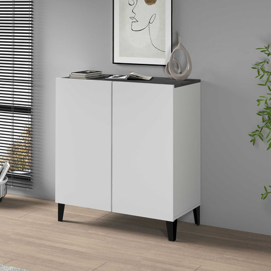 WHOUS Armadio Multiuso con 2 Ante, Made in Italy DIMENSIONI: 79,20x38x92,5, COLORE: Report/bianco opaco