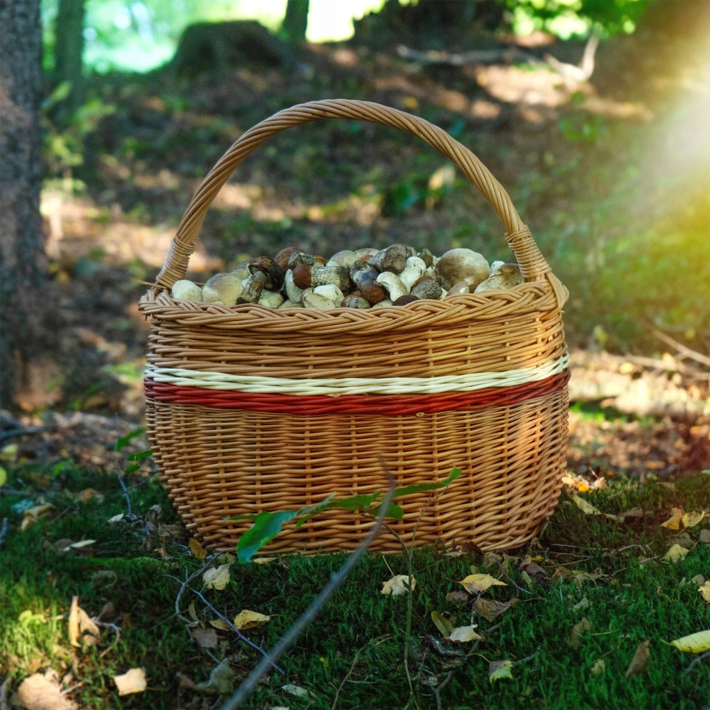 Cesto in vimini KADAX per funghi, spesa, picnic, frutta, vimini, grande, ecologico