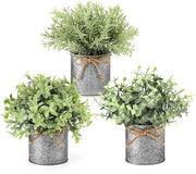 Collezione di 3 piantine artificiali in contenitore in metallo galvanizzato - Decorazione rustica per la casa - Eucalipto - Effetto realistico