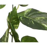 GHIRLANDA 20X9XH180CM IN PLASTICA VERDE