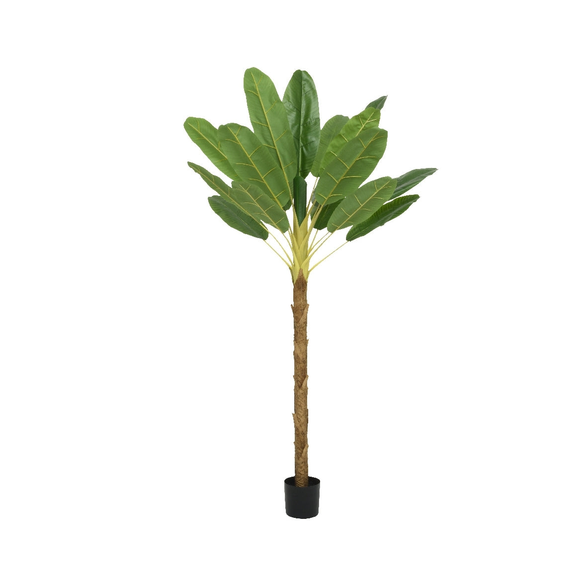 PIANTA DI BANANO 120X100XH180CM IN PLASTICA.