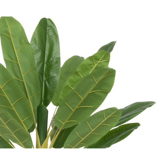 PIANTA DI BANANO 120X120XH280CM VERDE CON VASO.