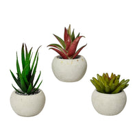 VASO CON ALOE BIANCO D.7XH12CM IN PLASTICA 3 MOD.