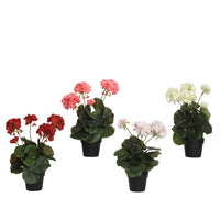 VASO CON GERANIO 25X25XH35CM POLIESTERE 4COL ASS.