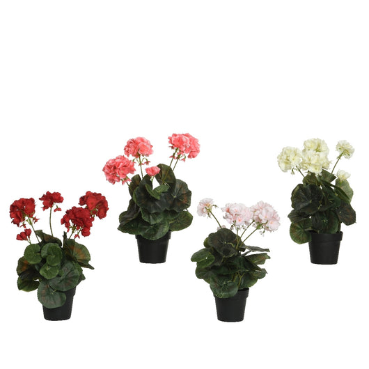 VASO CON GERANIO 25X25XH35CM POLIESTERE 4COL ASS.