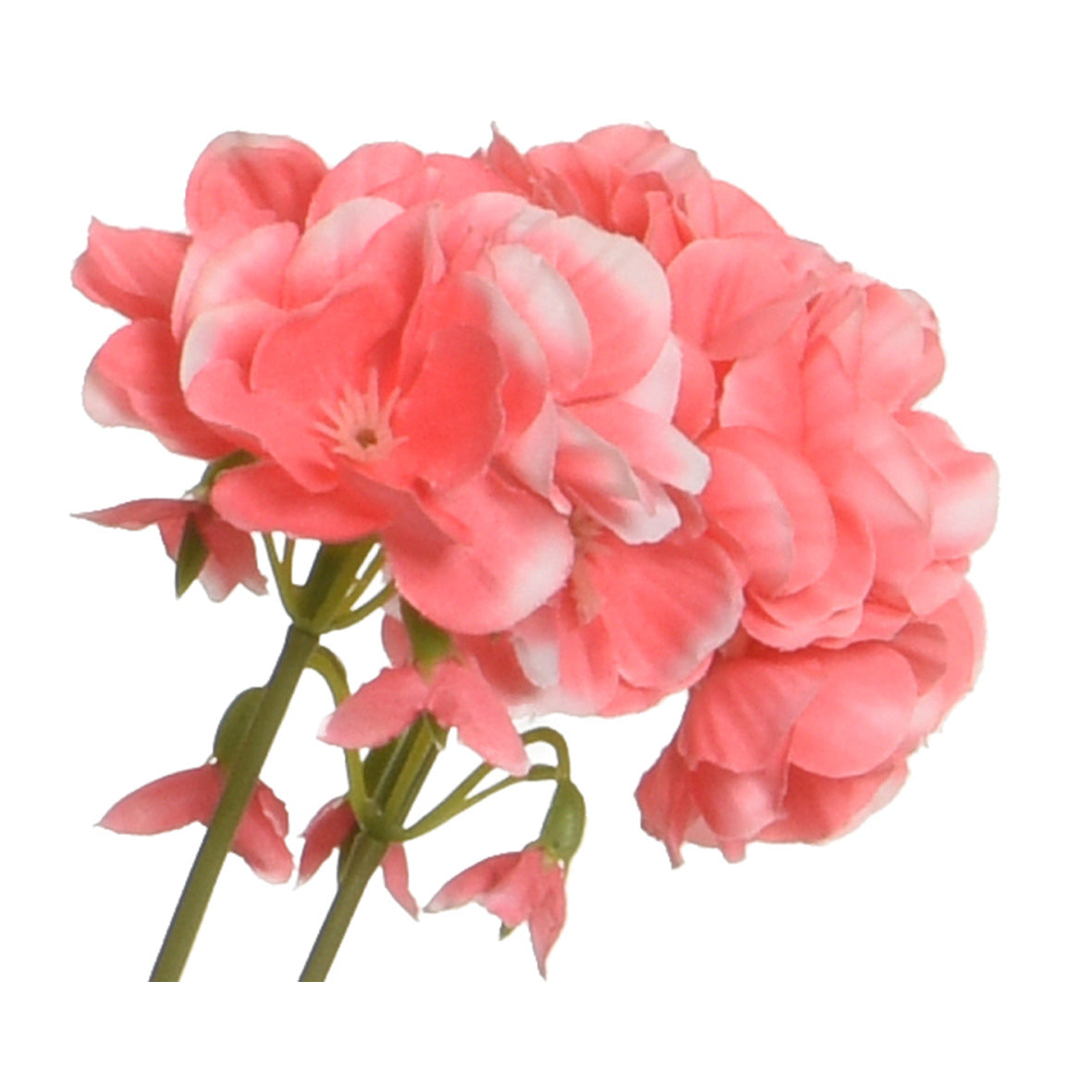 VASO CON GERANIO 25X25XH35CM POLIESTERE 4COL ASS.