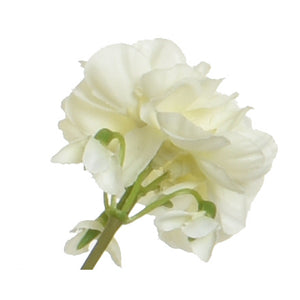 VASO CON GERANIO 25X25XH35CM POLIESTERE 4COL ASS.