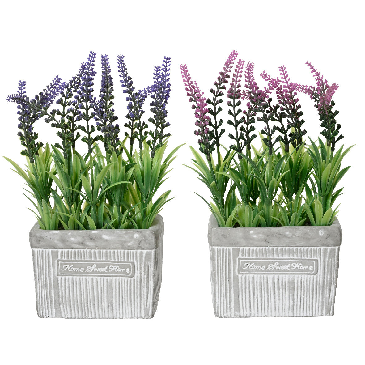 VASO CON LAVANDA 13X7XH24CM IN PLASTICA 2COL ASS.