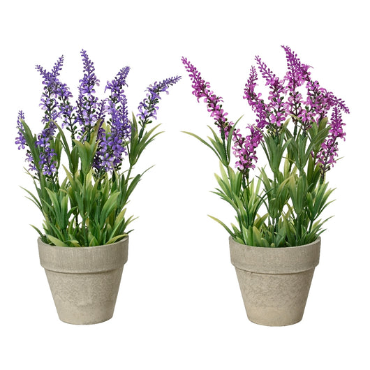 VASO CON LAVANDA D.11XH31CM IN PLASTICA 2COL ASS.