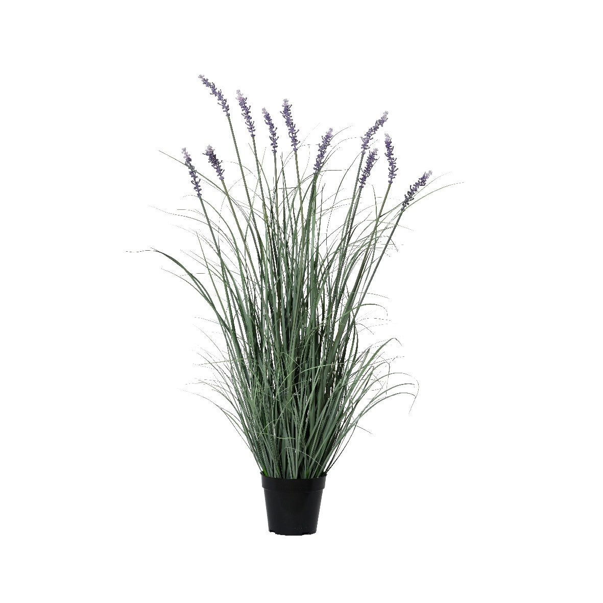 VASO CON LAVANDA 30X30XH96CM IN PLASTICA.