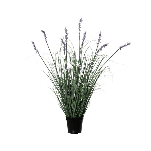 VASO CON LAVANDA 28X28H80CM IN PVC.