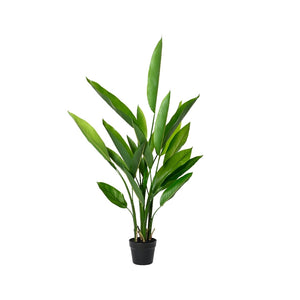 VASO CON STRELIZIA D.60XH110CM VERDE.