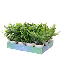 VASO CON PIANTA ARTIFICIALE 8XH21CM IN 4 MODELLI.