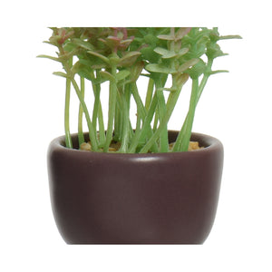 VASO OMINO CON PIANTA 7X9XH14CM 4COLORI ASSORTITI.