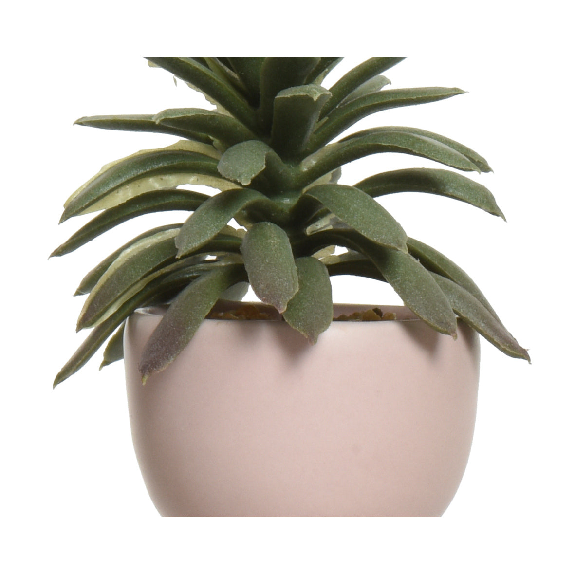 VASO OMINO CON PIANTA 7X9XH14CM 4COLORI ASSORTITI.