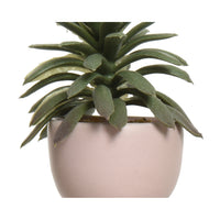 VASO OMINO CON PIANTA 7X9XH14CM 4COLORI ASSORTITI.