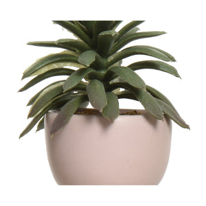 VASO OMINO CON PIANTA 7X9XH14CM 4COLORI ASSORTITI.