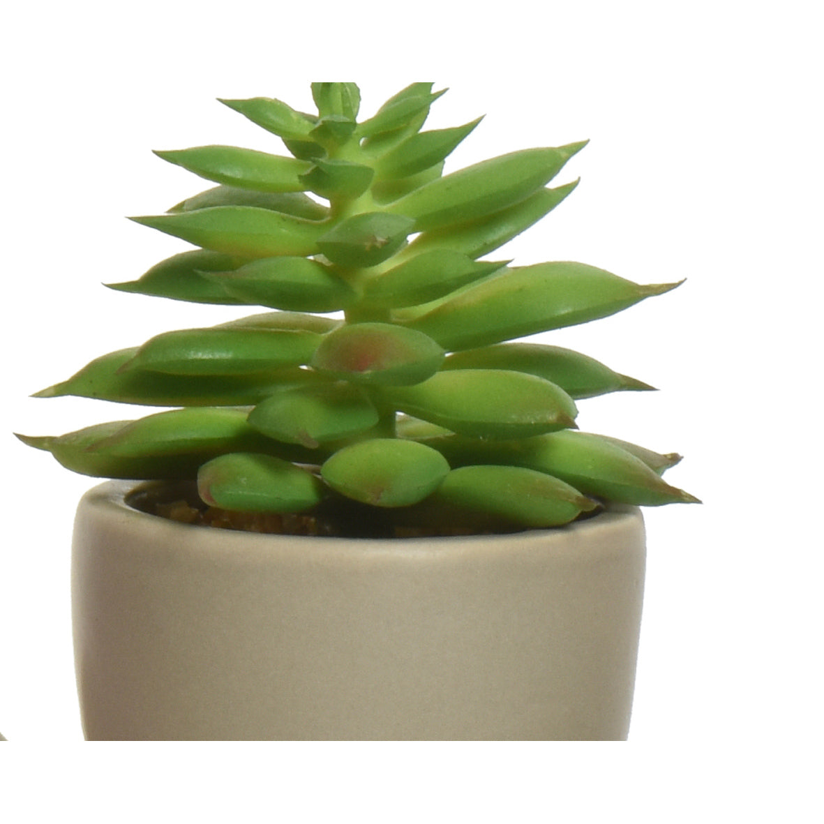 VASO OMINO CON PIANTA 7X9XH14CM 4COLORI ASSORTITI.