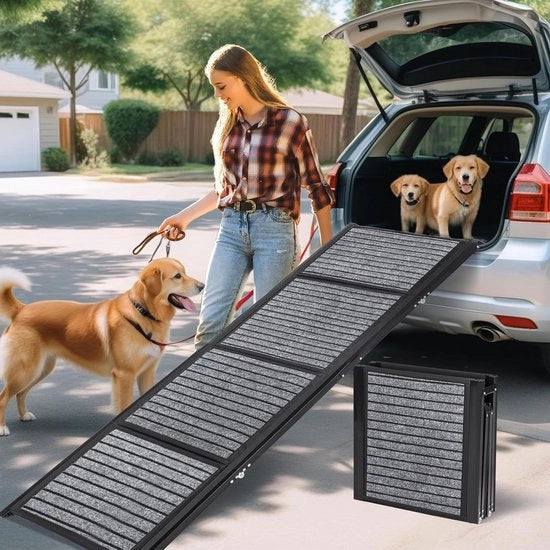 Scala Collapsibile per Cani di Lunghezza 180cm con Superficie in Tappeto Antiscivolo e Pieghevole