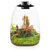 Bioloark Bio Bottle QD172 cm17,5x23h - terrario a bolla in vetro con sistema di aerazione e illuminazione LED