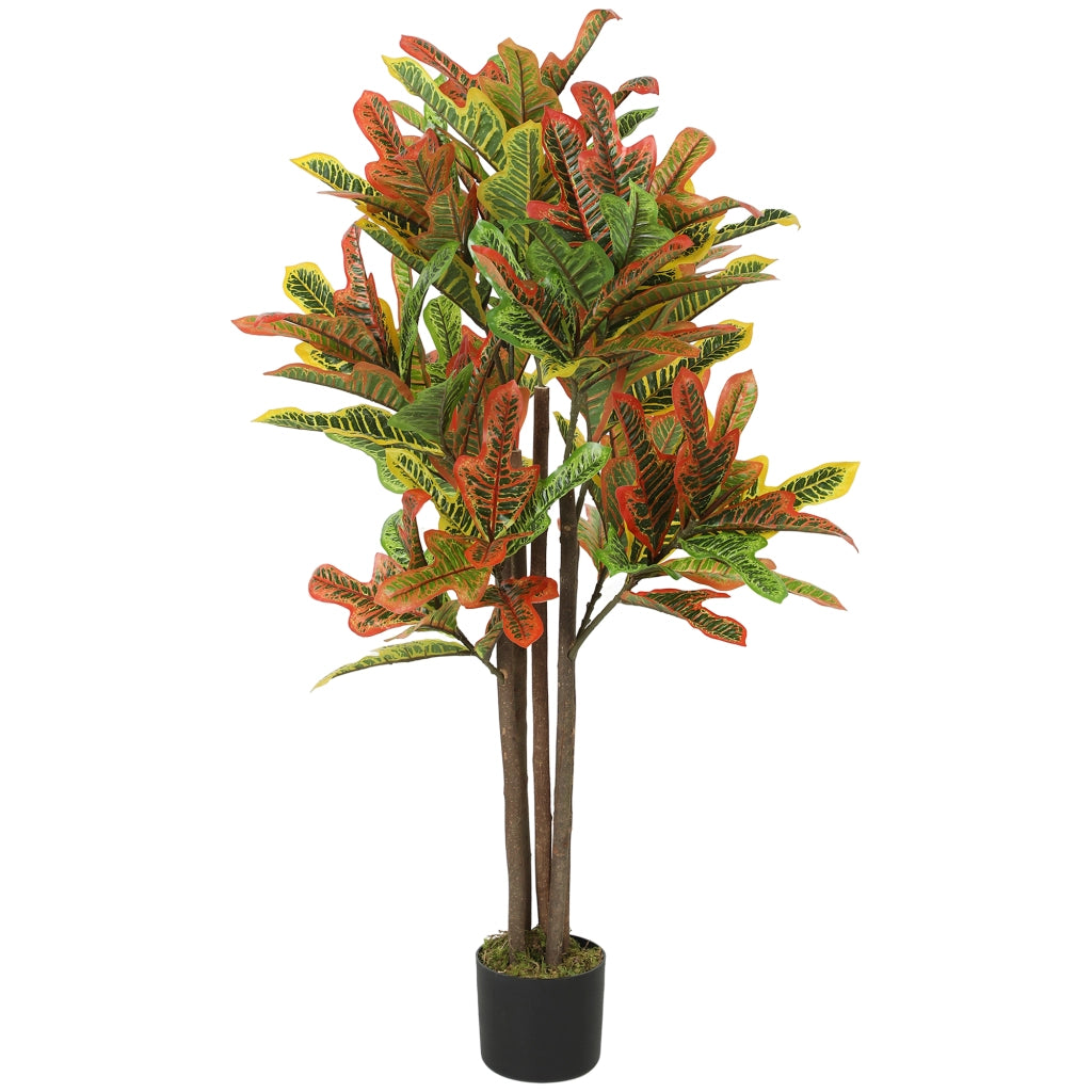 Pianta Artificiale Croton ¨C zephmum ¨C 55x55x120 cm