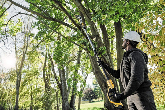 POTATORE AD ASTA E PROLUNGA A BATTERIA DEWALT 18V DCMPS567P1-QW