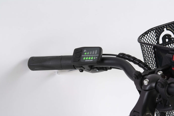 F.LLI SCHIANO E-MOON 26" bicicletta elettrica da cittÃ  per adulti, per uomo donna, con motore elettrico batteria sul 