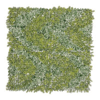 Parete Sintetica Resina Verde da Esterno 100x100 cm - VIONYX