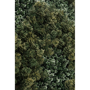 Parete Sintetica Resina Verde da Esterno 100x100 cm - VIONYX